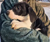 processed/9b93fd80-2a76-4b14-a8f2-6e598eedd12b/listing/3f9c5094-013c-48f8-a46e-5522dd242334/b7ba9f3e-db3e-45f0-9a0d-3204e20a1dd0