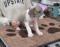 processed/9b93fd80-2a76-4b14-a8f2-6e598eedd12b/listing/52862202-5384-4355-894f-8083ead9e428/0c6c9182-336d-41c6-b850-cf98c18da2a6