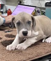 processed/9b93fd80-2a76-4b14-a8f2-6e598eedd12b/listing/52862202-5384-4355-894f-8083ead9e428/2cf4d39f-4426-4785-89ec-1d9053e611df