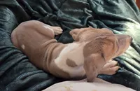 processed/9b93fd80-2a76-4b14-a8f2-6e598eedd12b/listing/52862202-5384-4355-894f-8083ead9e428/6e4c46c2-903d-450d-b4b5-442a8d8846e9