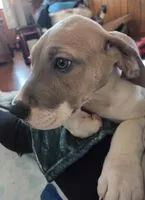 processed/9b93fd80-2a76-4b14-a8f2-6e598eedd12b/listing/52862202-5384-4355-894f-8083ead9e428/758da288-3588-4e13-8405-530182eead47