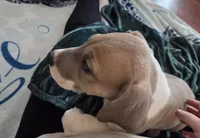 processed/9b93fd80-2a76-4b14-a8f2-6e598eedd12b/listing/52862202-5384-4355-894f-8083ead9e428/7c0d431e-4bf2-4613-80c8-5c507fae00f5