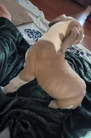 processed/9b93fd80-2a76-4b14-a8f2-6e598eedd12b/listing/52862202-5384-4355-894f-8083ead9e428/ef1c6f6f-e224-48a0-9b16-cdf4983c3edf