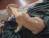 processed/9b93fd80-2a76-4b14-a8f2-6e598eedd12b/listing/52862202-5384-4355-894f-8083ead9e428/fbbfdeb3-50c8-4a76-a7ea-c300292d62d4