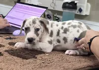 processed/9b93fd80-2a76-4b14-a8f2-6e598eedd12b/listing/5a167e8a-8f76-48f6-be8e-6d097235d8f7/eb817943-7849-4fea-88e1-d506bd0d35fe