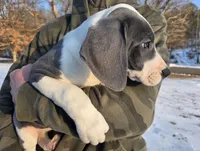 processed/9b93fd80-2a76-4b14-a8f2-6e598eedd12b/listing/7cacc0ec-80e3-4a1c-85e1-b2f8649d9f19/032df4b9-dd5e-4eeb-908d-b4143ee3fc26