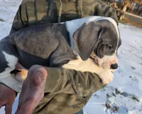 processed/9b93fd80-2a76-4b14-a8f2-6e598eedd12b/listing/7cacc0ec-80e3-4a1c-85e1-b2f8649d9f19/254b5be8-0684-4f78-86f8-1b466a292127