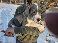 processed/9b93fd80-2a76-4b14-a8f2-6e598eedd12b/listing/7cacc0ec-80e3-4a1c-85e1-b2f8649d9f19/3755d1ff-e459-4cb8-96aa-ac18df2f413f