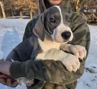 processed/9b93fd80-2a76-4b14-a8f2-6e598eedd12b/listing/7cacc0ec-80e3-4a1c-85e1-b2f8649d9f19/43966a97-41a5-42be-bf52-6edc3b24e634