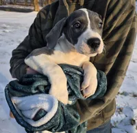 processed/9b93fd80-2a76-4b14-a8f2-6e598eedd12b/listing/7cacc0ec-80e3-4a1c-85e1-b2f8649d9f19/6d6caf5a-9427-42f0-91ad-429f5225fbdd