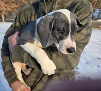 processed/9b93fd80-2a76-4b14-a8f2-6e598eedd12b/listing/7cacc0ec-80e3-4a1c-85e1-b2f8649d9f19/c65897c7-de1b-4344-bd1d-604765acfda9