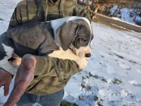 processed/9b93fd80-2a76-4b14-a8f2-6e598eedd12b/listing/7cacc0ec-80e3-4a1c-85e1-b2f8649d9f19/c9245117-ce13-45c7-96de-526493087080