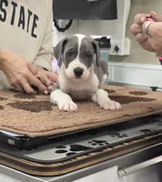 processed/9b93fd80-2a76-4b14-a8f2-6e598eedd12b/listing/7cacc0ec-80e3-4a1c-85e1-b2f8649d9f19/fdc4a958-1bbf-42fa-b7de-4ae69bd04ab0