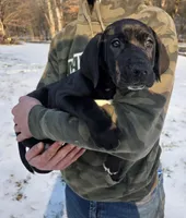 processed/9b93fd80-2a76-4b14-a8f2-6e598eedd12b/listing/a6531a46-f5ca-403b-8c8e-5b37889f5050/06002778-43e7-4a1f-9dac-5a3e9e8047da