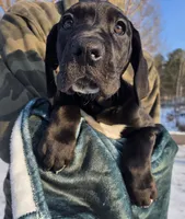 processed/9b93fd80-2a76-4b14-a8f2-6e598eedd12b/listing/a6531a46-f5ca-403b-8c8e-5b37889f5050/20c1d7be-cbbb-494c-ba98-ebb575730b12