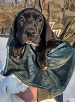 processed/9b93fd80-2a76-4b14-a8f2-6e598eedd12b/listing/a6531a46-f5ca-403b-8c8e-5b37889f5050/31603e92-4a7d-4049-9d2a-33bb8918eb01