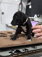 processed/9b93fd80-2a76-4b14-a8f2-6e598eedd12b/listing/a6531a46-f5ca-403b-8c8e-5b37889f5050/3394b3ed-92d4-450a-be92-34bbce69721d