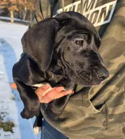 processed/9b93fd80-2a76-4b14-a8f2-6e598eedd12b/listing/a6531a46-f5ca-403b-8c8e-5b37889f5050/3f7867b9-4a7f-4b1c-8e93-ead7abab0c90