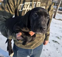 processed/9b93fd80-2a76-4b14-a8f2-6e598eedd12b/listing/a6531a46-f5ca-403b-8c8e-5b37889f5050/52cd024e-c8fc-45e6-b7d2-621fb36169ba