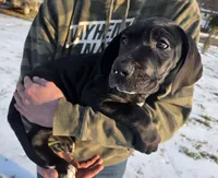 processed/9b93fd80-2a76-4b14-a8f2-6e598eedd12b/listing/a6531a46-f5ca-403b-8c8e-5b37889f5050/610c2de9-e3a5-4121-82a1-bf72315c9f6a