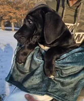 processed/9b93fd80-2a76-4b14-a8f2-6e598eedd12b/listing/a6531a46-f5ca-403b-8c8e-5b37889f5050/8c7d2f9d-6011-45c9-a750-0d40cce494e1