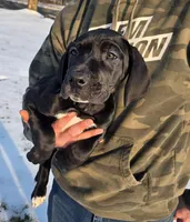 processed/9b93fd80-2a76-4b14-a8f2-6e598eedd12b/listing/a6531a46-f5ca-403b-8c8e-5b37889f5050/c6c494f1-38a7-4e66-85ae-aea1ddc4a38c