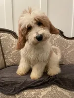 processed/9b949809-1738-4e95-b37d-d468bc14e2fc/facility/1ed7735d-c443-40c7-b0e6-21fc66843917