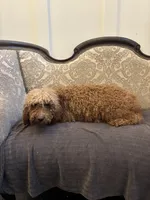 processed/9b949809-1738-4e95-b37d-d468bc14e2fc/facility/35ce7fbc-efcb-47ce-8304-4017a59d9916