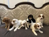 processed/9b949809-1738-4e95-b37d-d468bc14e2fc/facility/7d8ab1fd-3956-4939-8df3-29776085228b