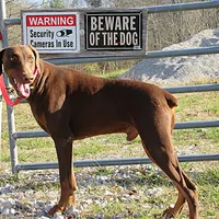 processed/9b95081a-2823-4fd5-9ef0-c948c5ea7924/facility/5a7b37a0-ab8f-4170-9987-1c4bc300f5f7