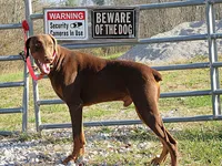 processed/9b95081a-2823-4fd5-9ef0-c948c5ea7924/facility/5a7b37a0-ab8f-4170-9987-1c4bc300f5f7