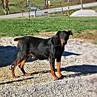 processed/9b95081a-2823-4fd5-9ef0-c948c5ea7924/facility/8a1d5047-1024-4065-af1a-a5afefa98e3b