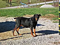 processed/9b95081a-2823-4fd5-9ef0-c948c5ea7924/facility/8a1d5047-1024-4065-af1a-a5afefa98e3b