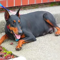 processed/9b95081a-2823-4fd5-9ef0-c948c5ea7924/facility/967b67d3-9cc3-4e66-b90a-0c93e8682929