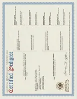 processed/9b95081a-2823-4fd5-9ef0-c948c5ea7924/listing/1223723d-2abe-4594-a912-81376570fbfb/5fa3c647-3437-42e4-bcc7-f563065b89f7