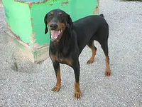 processed/9b95081a-2823-4fd5-9ef0-c948c5ea7924/listing/1223723d-2abe-4594-a912-81376570fbfb/b43289f1-d061-484d-bb96-a727ea36cfb7