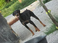 processed/9b95081a-2823-4fd5-9ef0-c948c5ea7924/listing/1223723d-2abe-4594-a912-81376570fbfb/b4c436b5-23bf-4f7b-a6a0-4563f23bef8d