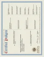 processed/9b95081a-2823-4fd5-9ef0-c948c5ea7924/listing/1223723d-2abe-4594-a912-81376570fbfb/b83d2966-6b5a-4cbb-8576-13db35b3c259