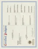 processed/9b95081a-2823-4fd5-9ef0-c948c5ea7924/listing/2df8d00e-cd5f-471e-a798-5e85c3ad21a1/52366342-6bfb-41e9-9681-2fbb254b11b2