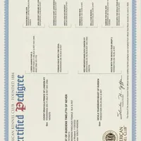 CANDY, a female Doberman Pinscher for sale in London, KY – Photo 8 of 9