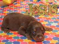 processed/9b95081a-2823-4fd5-9ef0-c948c5ea7924/listing/4a6c7e74-c724-4490-8a52-e0c7823af270/efd4352e-8aad-46b8-8506-b5a45847a912