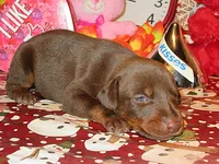 processed/9b95081a-2823-4fd5-9ef0-c948c5ea7924/listing/522a9175-234e-4843-8ad0-b1fa7e5511fd/0e12d82a-3495-49a4-84c9-03db8f73a7d3