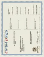 processed/9b95081a-2823-4fd5-9ef0-c948c5ea7924/listing/522a9175-234e-4843-8ad0-b1fa7e5511fd/2fef27c1-208a-4880-b1b1-1e2bbcd50a82