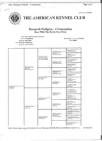 JESSICA, a female Doberman Pinscher for sale in London, KY – Photo 6 of 7