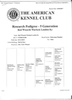 JESSICA, a female Doberman Pinscher for sale in London, KY – Photo 5 of 7