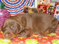 processed/9b95081a-2823-4fd5-9ef0-c948c5ea7924/listing/63ce1fd5-dc5c-439e-80a5-8f17677f5643/bf43ed6c-1ba5-4c8c-b2b3-e044fc8f50a3