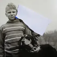 BECKETT, a female Doberman Pinscher for sale in London, KY – Photo 6 of 9