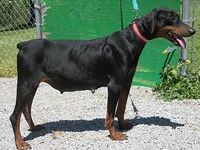 processed/9b95081a-2823-4fd5-9ef0-c948c5ea7924/listing/81b9aeee-af92-462e-855c-cf5010054f73/4d8442f3-5a2e-4207-b1b6-a974b8246ab0