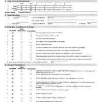 MOONA, a female Doberman Pinscher for sale in London, KY – Photo 7 of 8