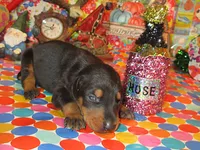 processed/9b95081a-2823-4fd5-9ef0-c948c5ea7924/listing/81b9aeee-af92-462e-855c-cf5010054f73/b390586b-d1a8-4faf-a1a7-00cd18306f2c